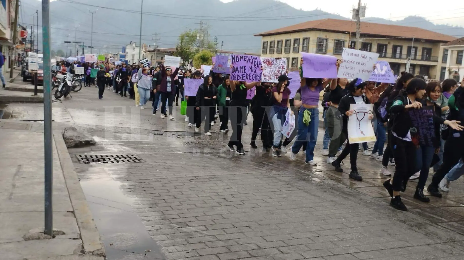 Marcha de mujeres en San Cristóbal (1)